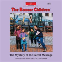 The_Mystery_of_the_Secret_Message